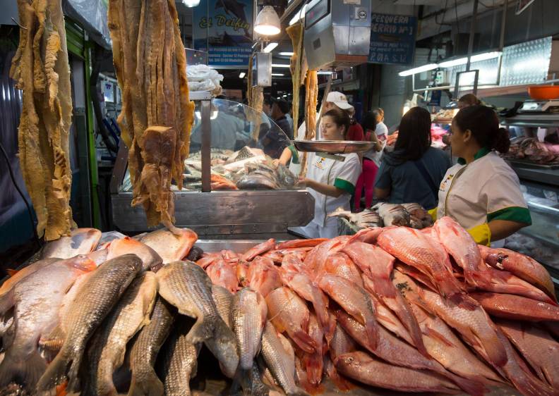 Producción de pescado crece hasta un 18% en Semana Santa